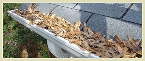 gutter_cleaning_mn