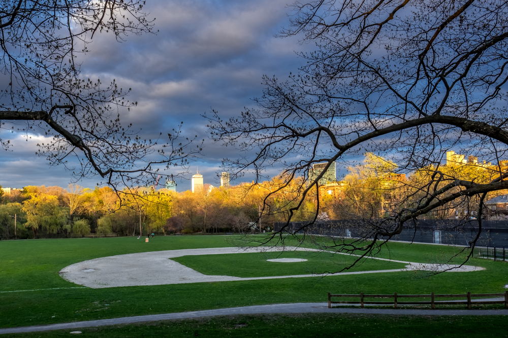 Brookline, MA Baseball Field