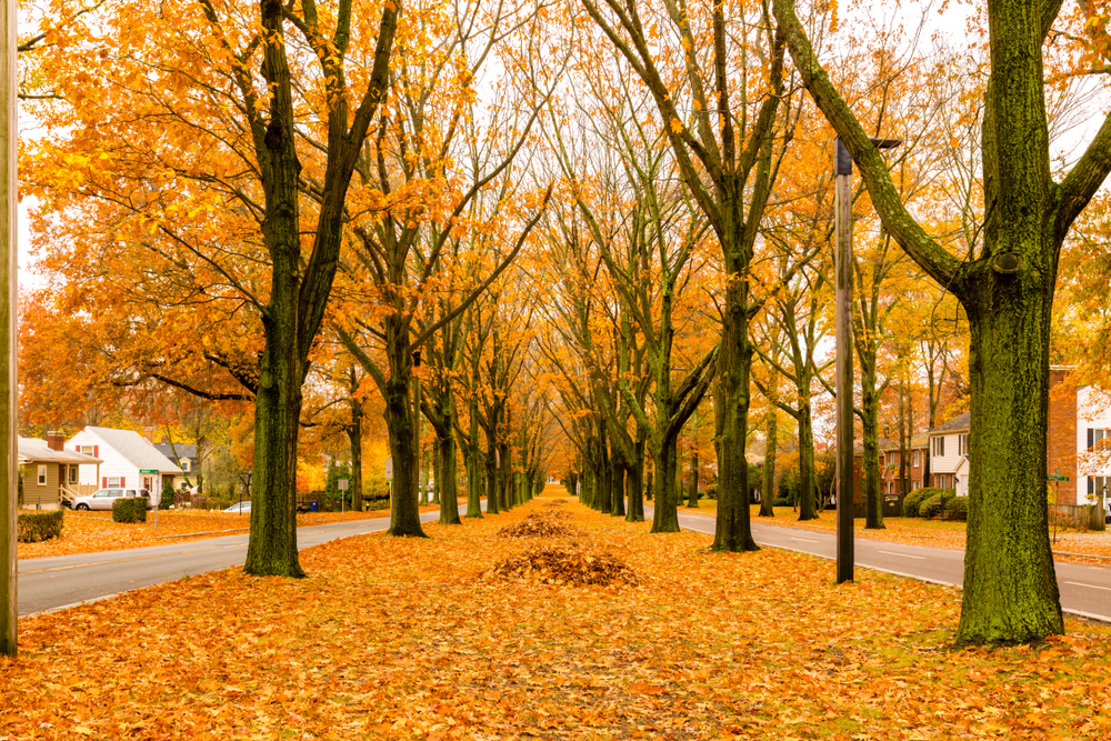 West Roxbury, MA