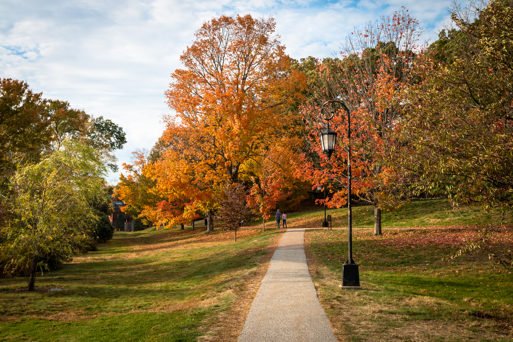Waban park MA