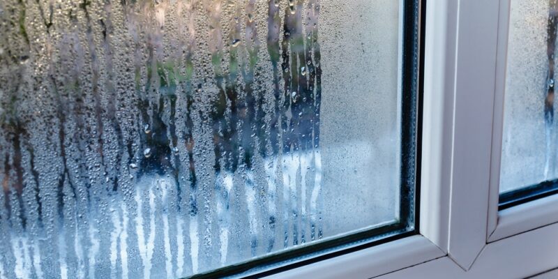 condensation on window needing to be replaced by a professional like three sons window and door based in waltham greater boston