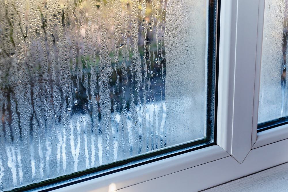 condensation on window needing to be replaced by a professional like three sons window and more based in waltham greater boston