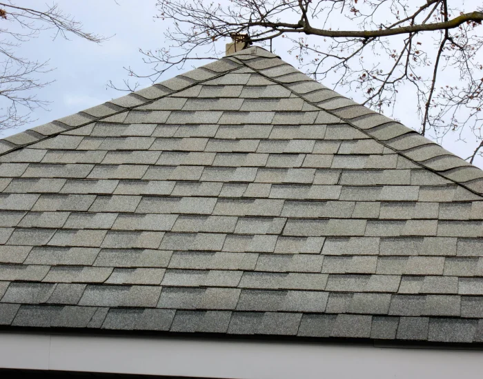 Gray architectural shingle roof detail