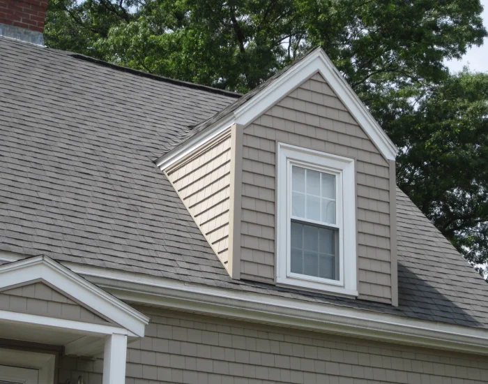 Gray shingle roof with tan shake dormer